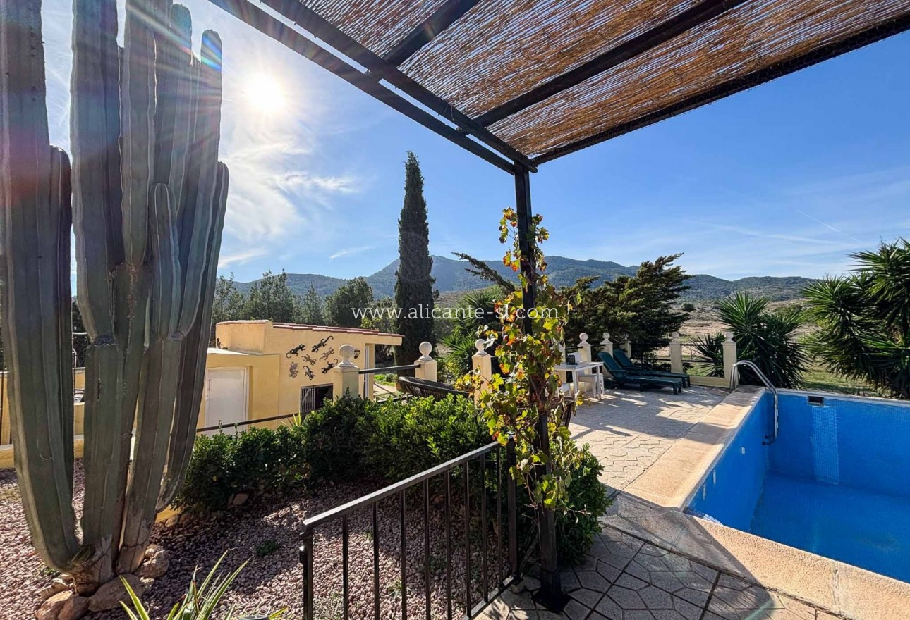 Sale - Finca - Hondón de las Nieves