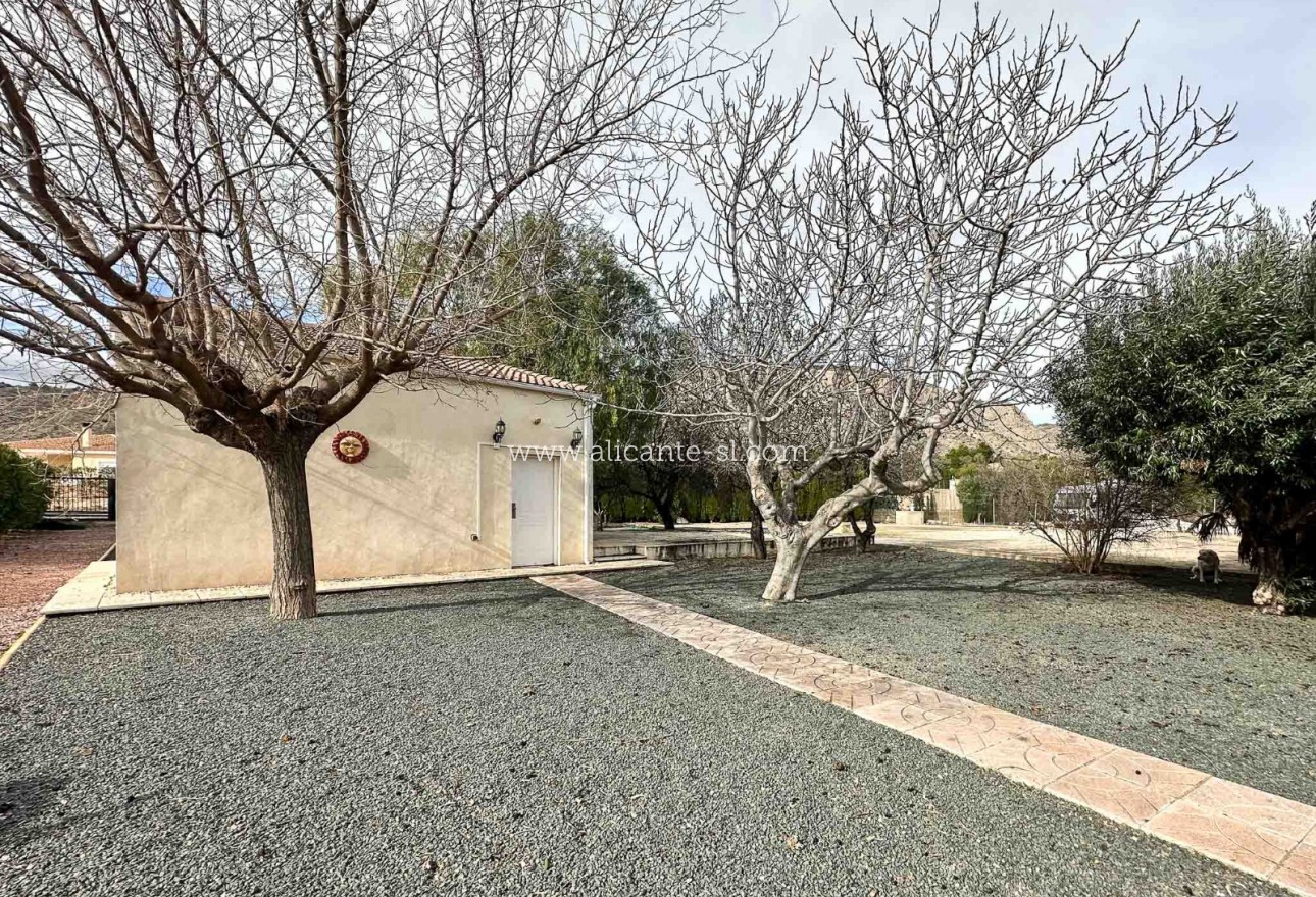 Sale - Finca - Hondón de las Nieves