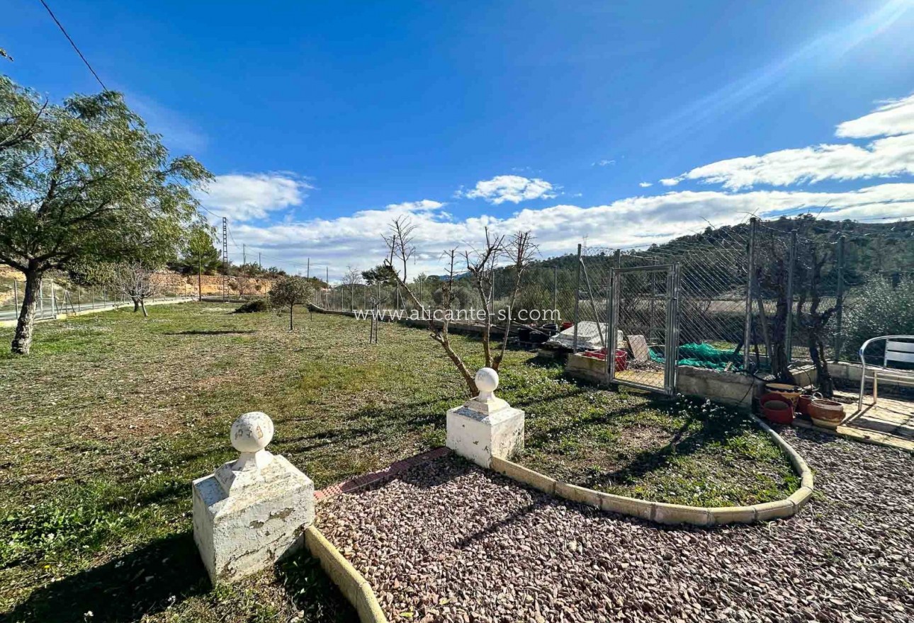 Sale - Finca - Hondón de las Nieves