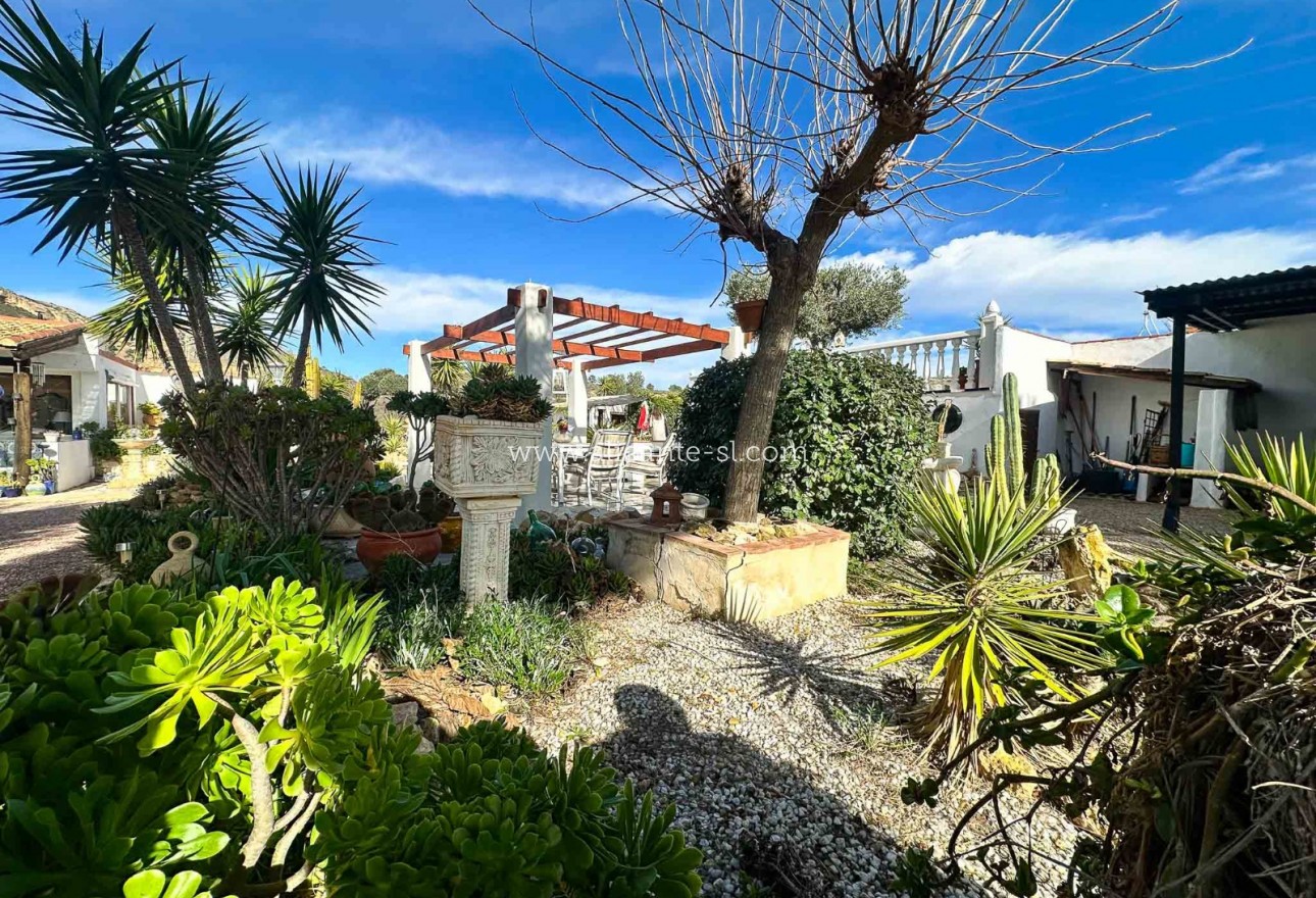 Sale - Finca - Hondón de las Nieves