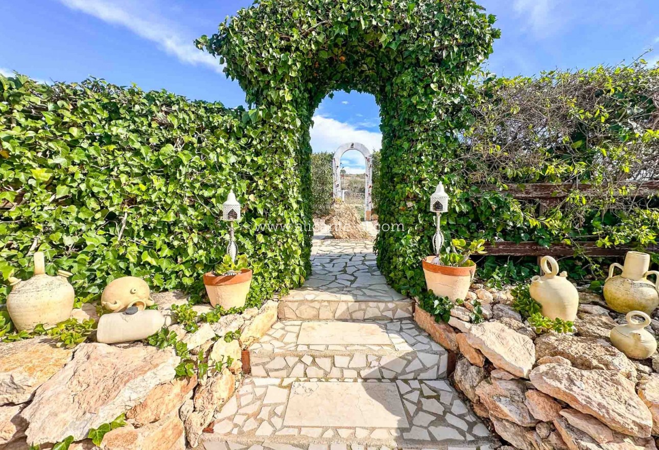 Sale - Finca - Hondón de las Nieves