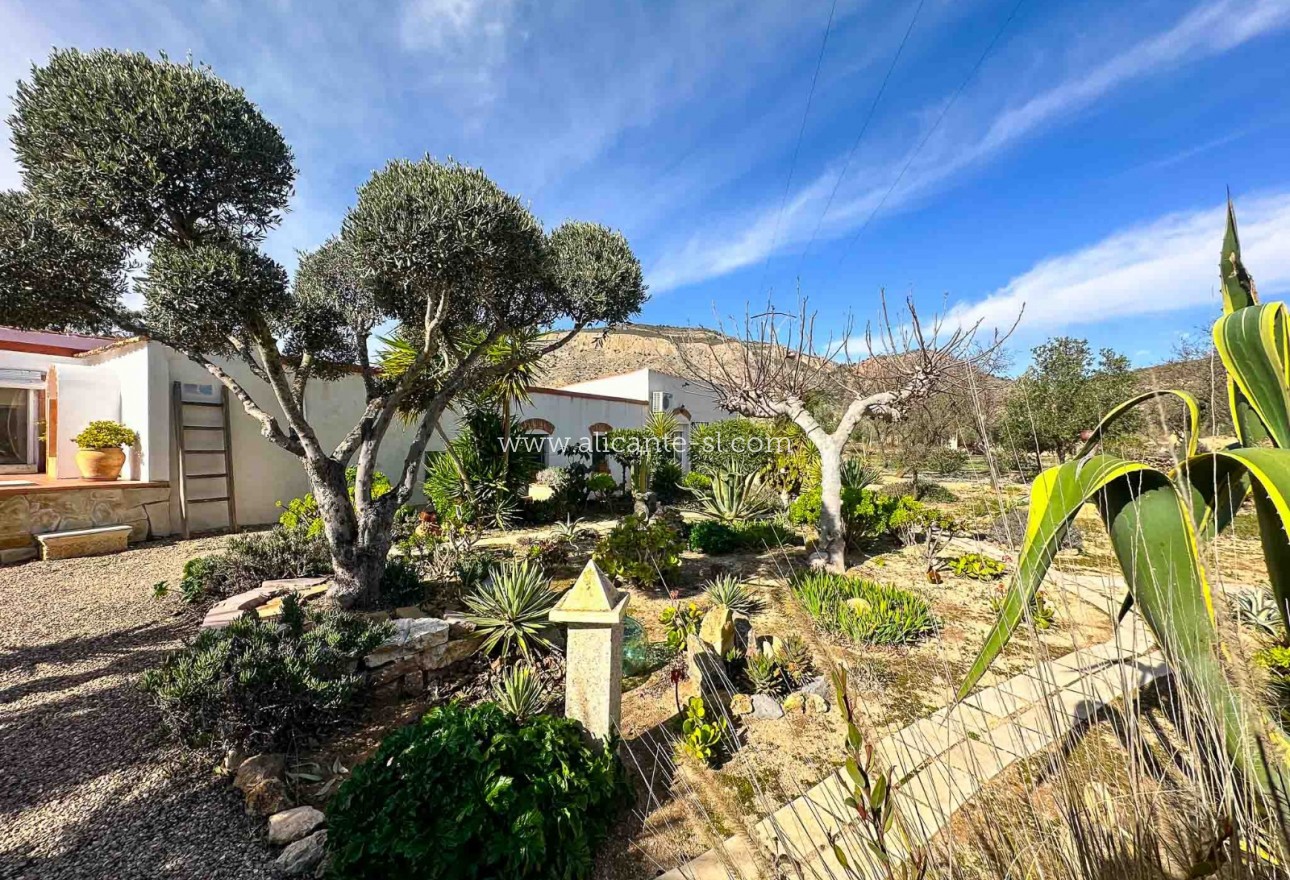 Sale - Finca - Hondón de las Nieves