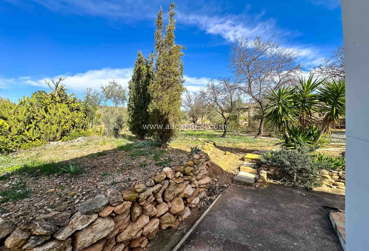 Sale - Finca - Hondón de las Nieves