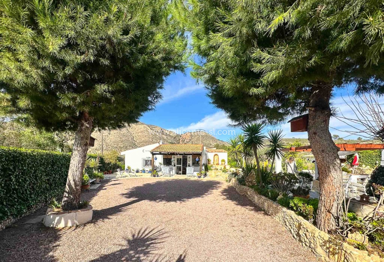 Sale - Finca - Hondón de las Nieves