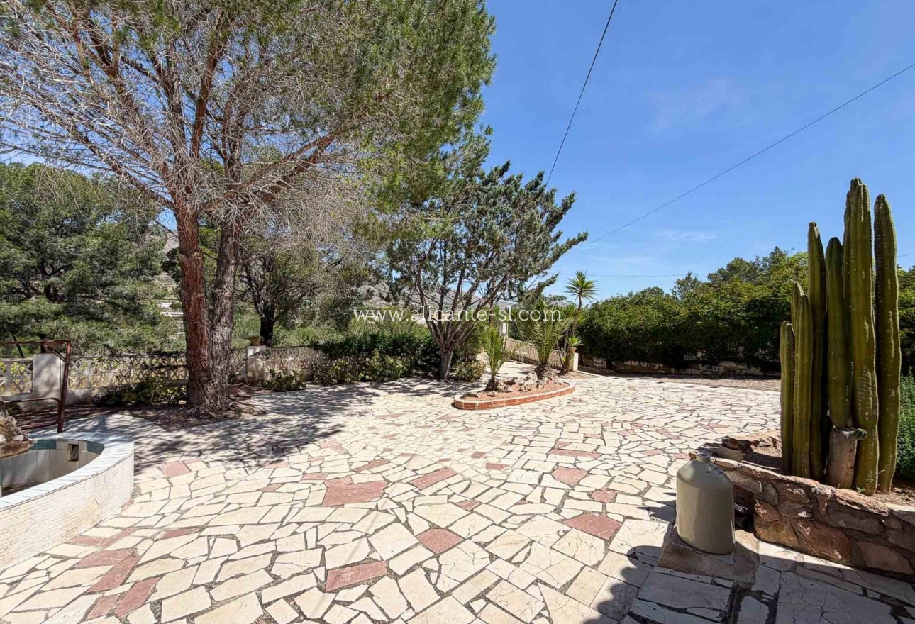 Sale - Finca - Hondón de las Nieves