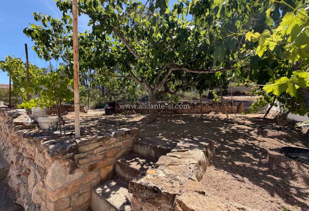 Sale - Finca - Hondón de las Nieves