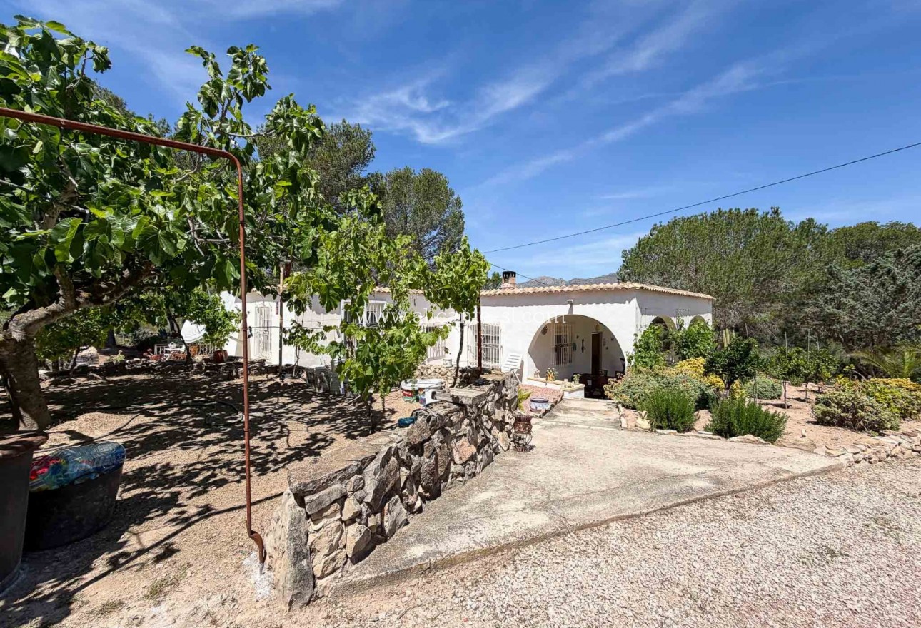 Sale - Finca - Hondón de las Nieves