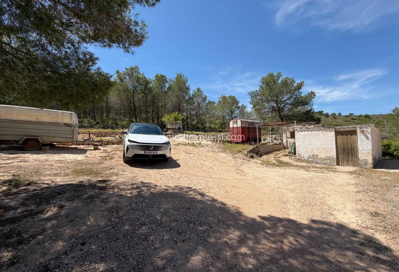 Sale - Finca - Hondón de las Nieves