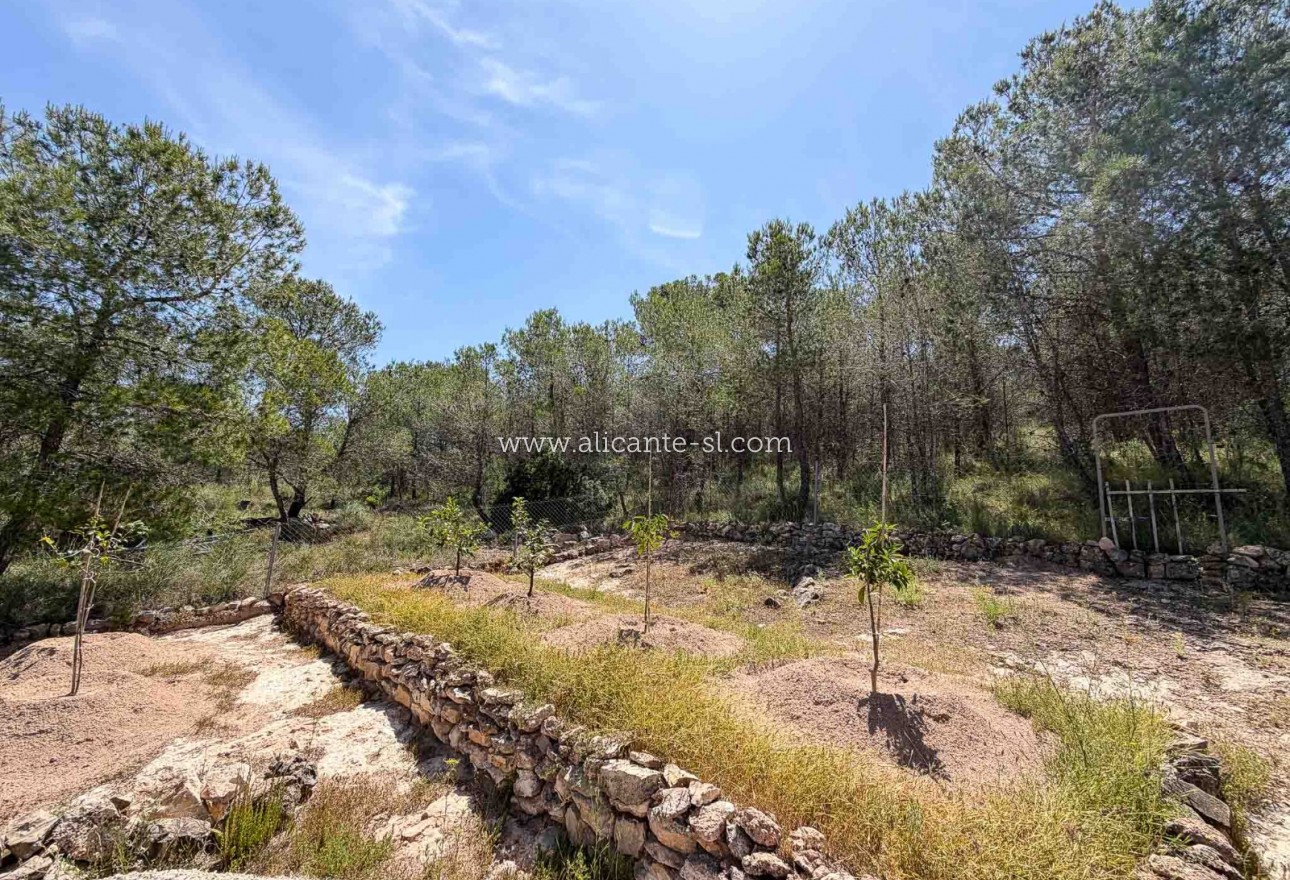 Sale - Finca - Hondón de las Nieves