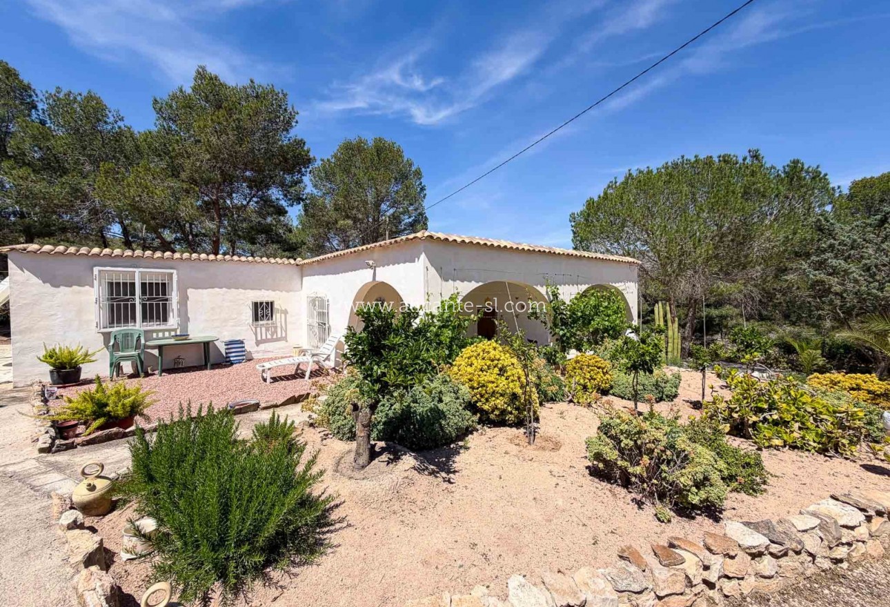 Sale - Finca - Hondón de las Nieves