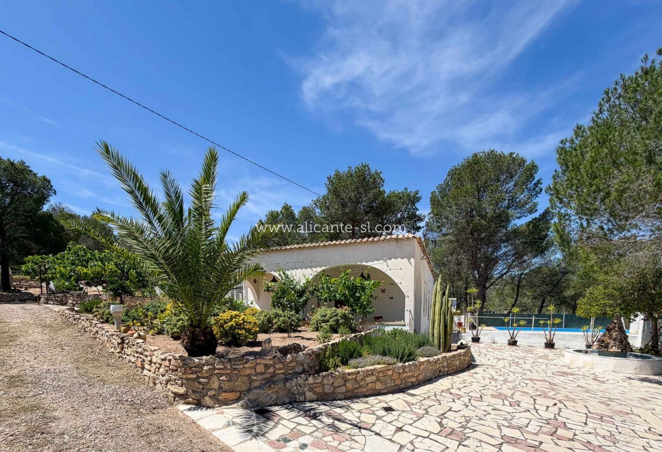 Sale - Finca - Hondón de las Nieves
