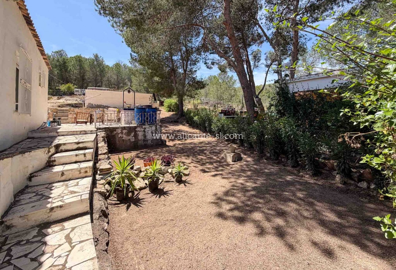 Sale - Finca - Hondón de las Nieves