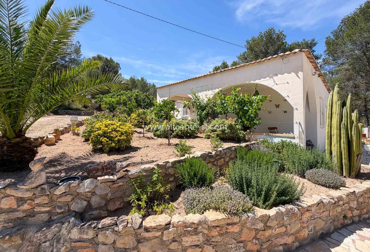 Sale - Finca - Hondón de las Nieves