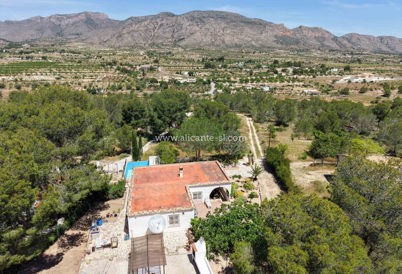 Sale - Finca - Hondón de las Nieves