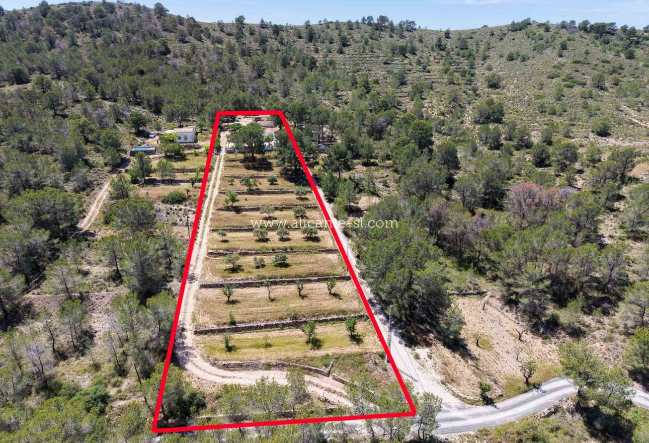 Sale - Finca - Hondón de las Nieves