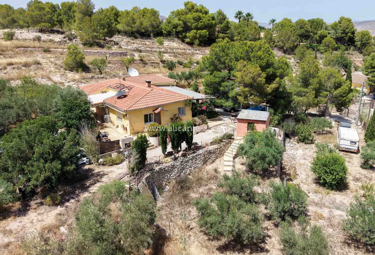 Sale - Finca - Hondón de las Nieves