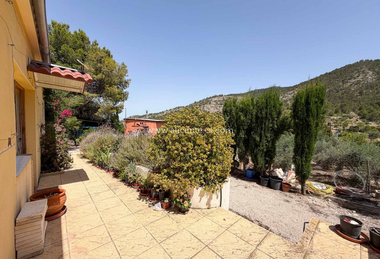 Sale - Finca - Hondón de las Nieves