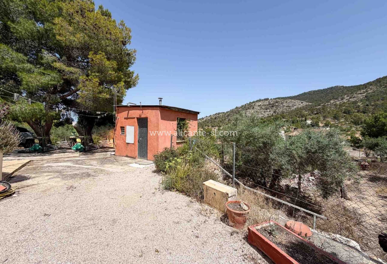 Sale - Finca - Hondón de las Nieves
