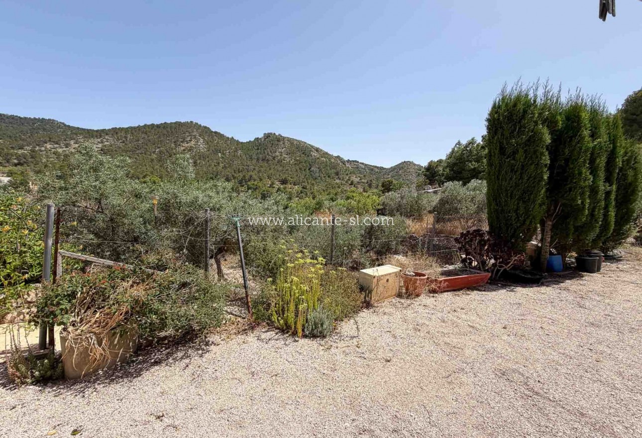 Sale - Finca - Hondón de las Nieves
