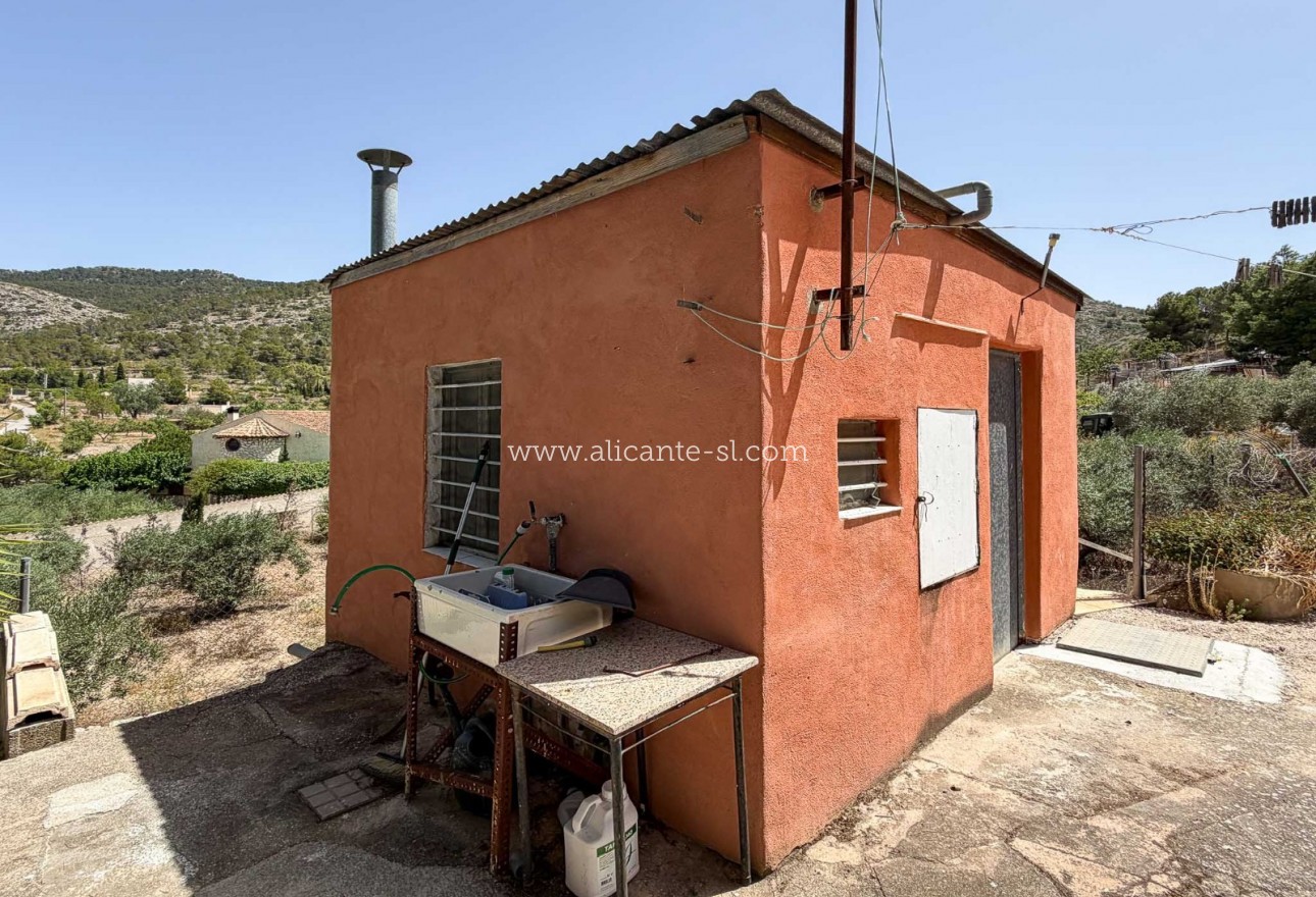 Sale - Finca - Hondón de las Nieves