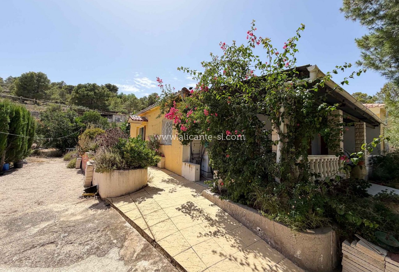 Sale - Finca - Hondón de las Nieves