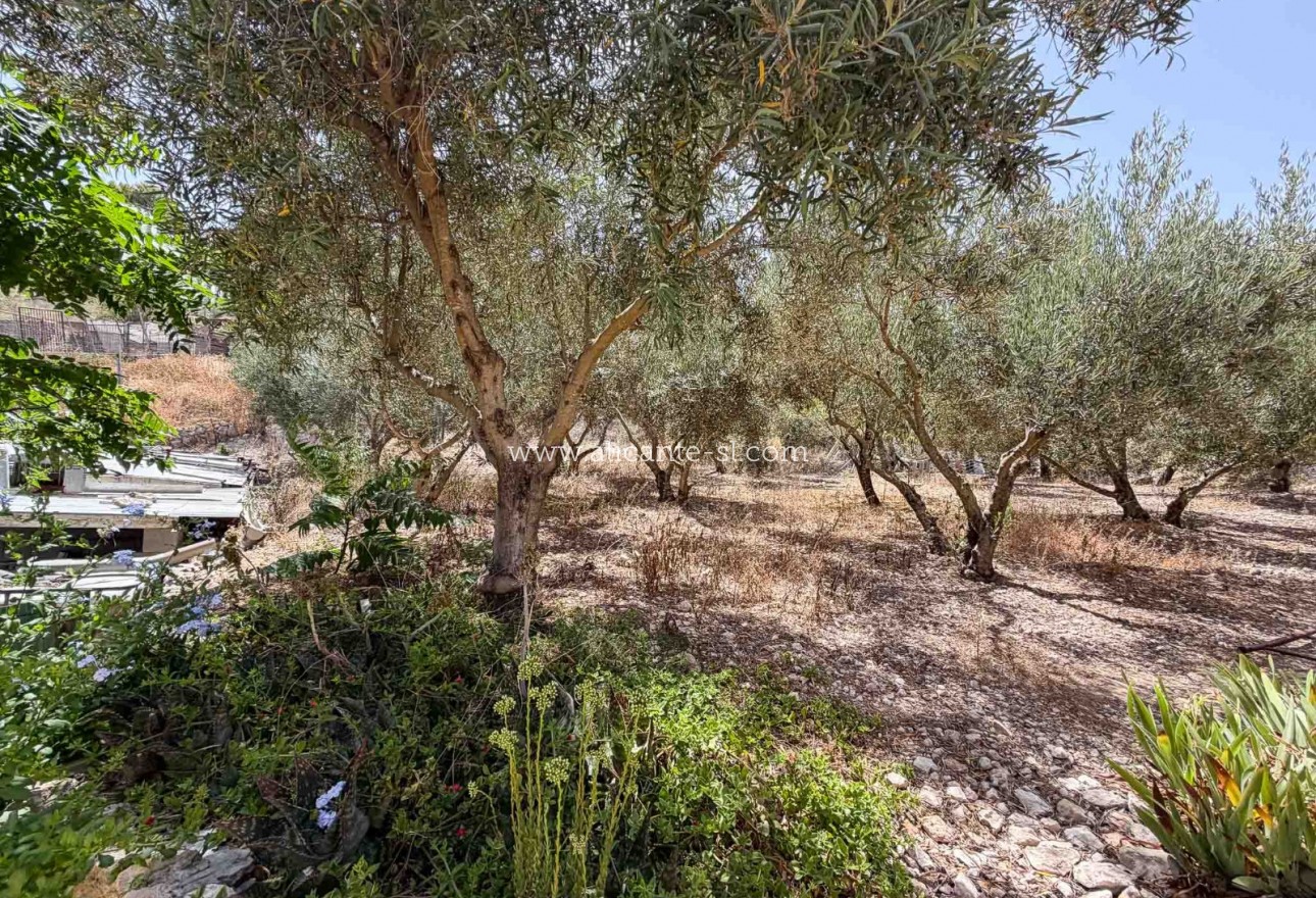 Sale - Finca - Hondón de las Nieves