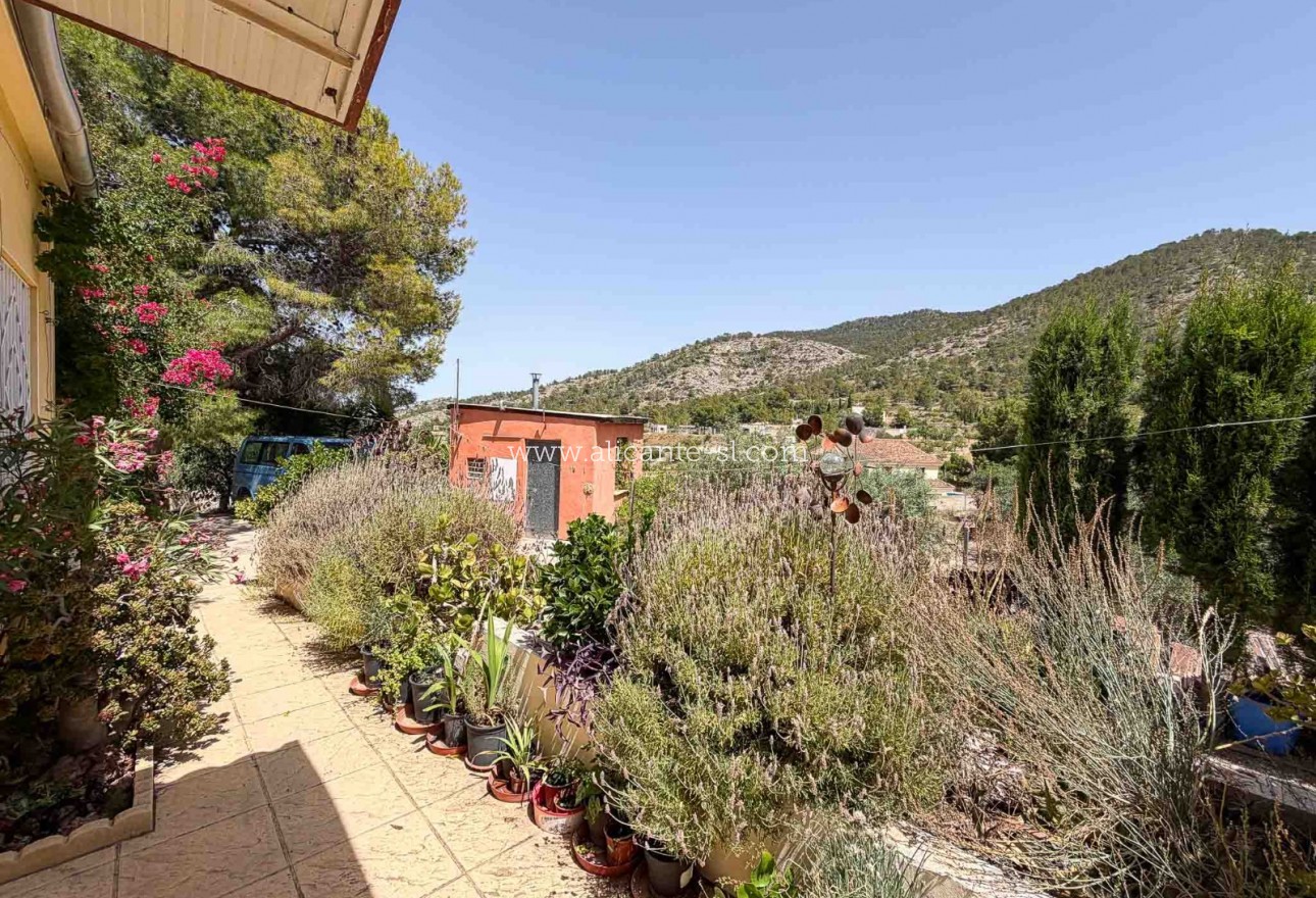 Sale - Finca - Hondón de las Nieves