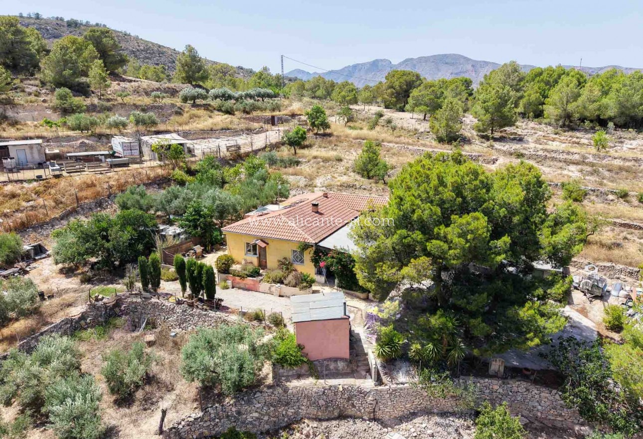 Sale - Finca - Hondón de las Nieves