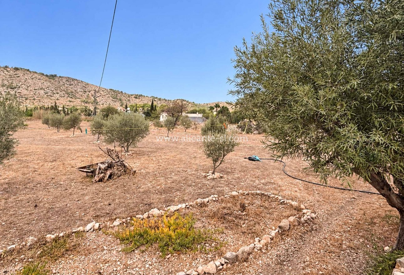 Sale - Finca - Hondón de las Nieves