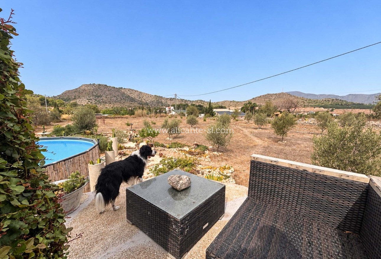 Sale - Finca - Hondón de las Nieves