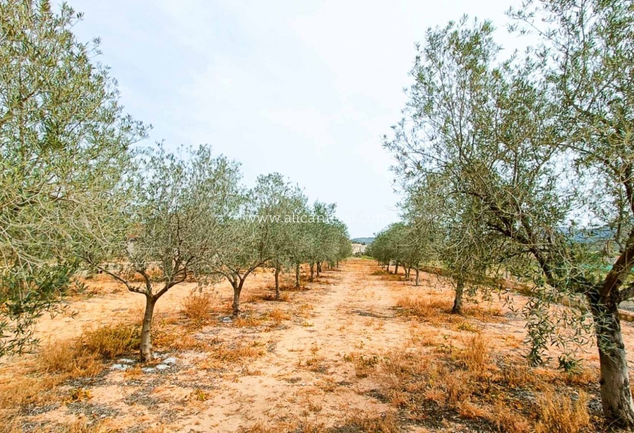 Sale - Finca - Hondón de los Fráiles