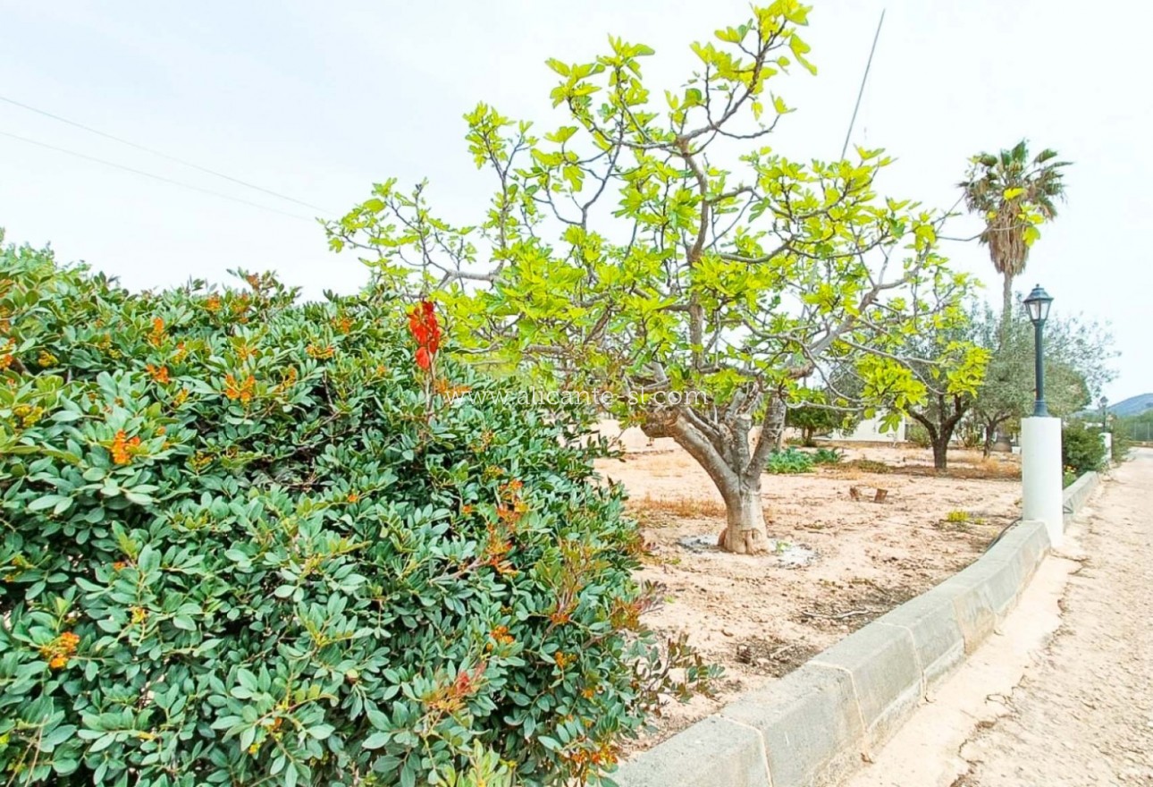 Sale - Finca - Hondón de los Fráiles