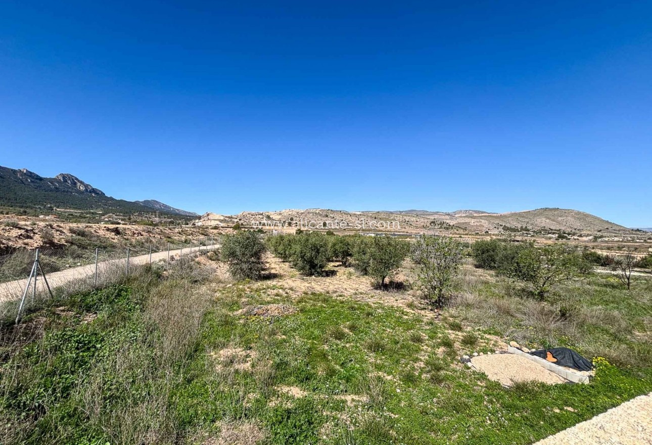 Sale - Finca - La Romana