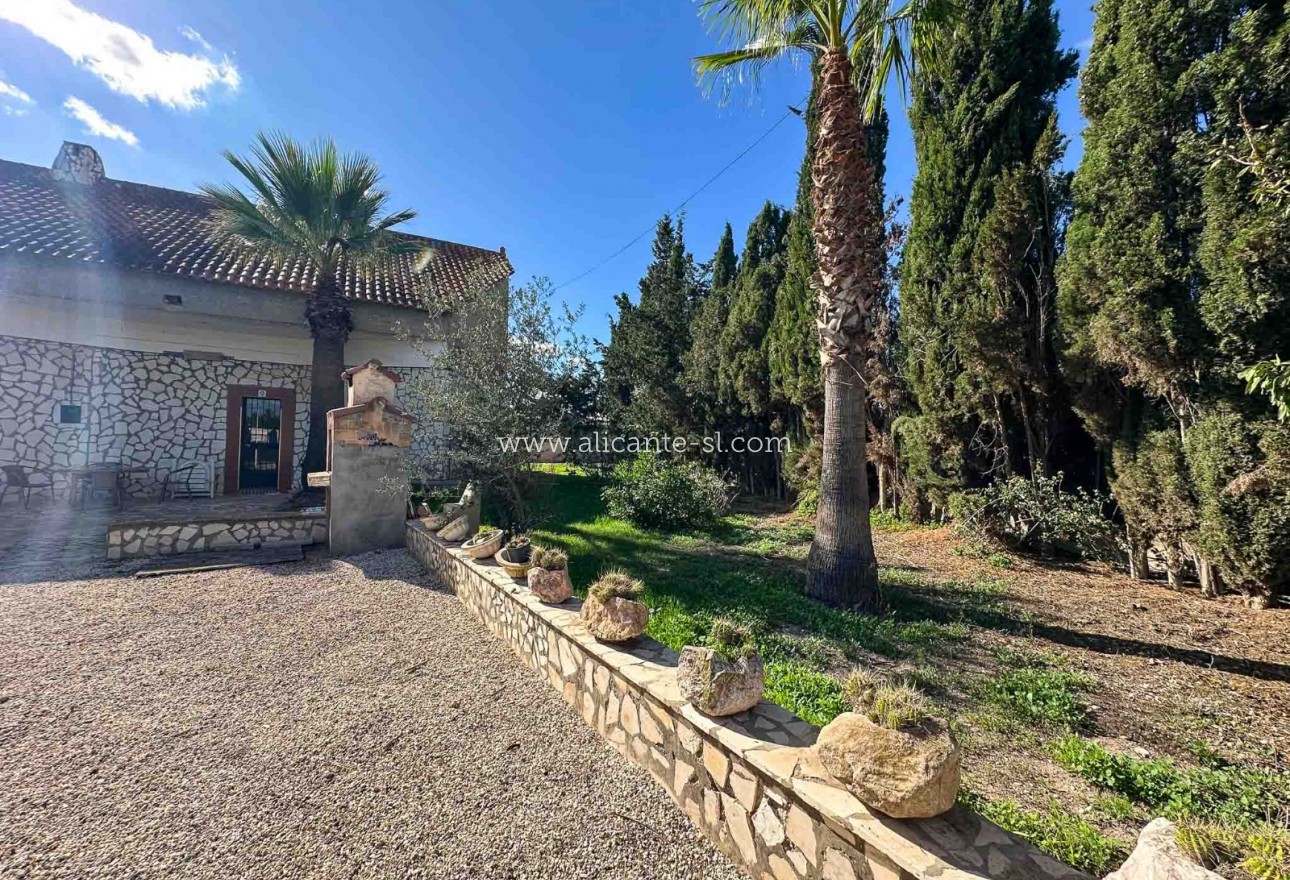 Sale - Finca - Monforte del Cid