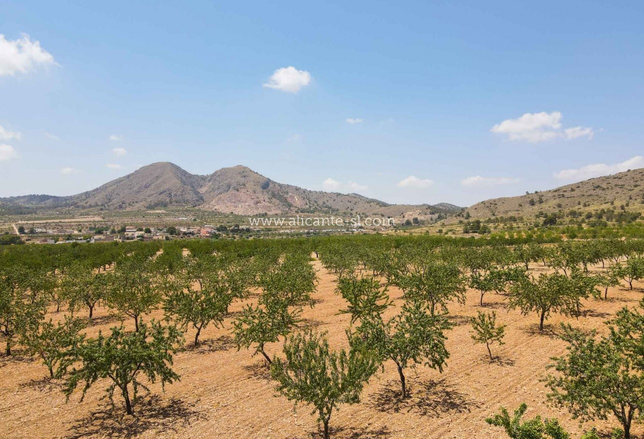 Sale - Townhouse - Barbarroja - Algueña