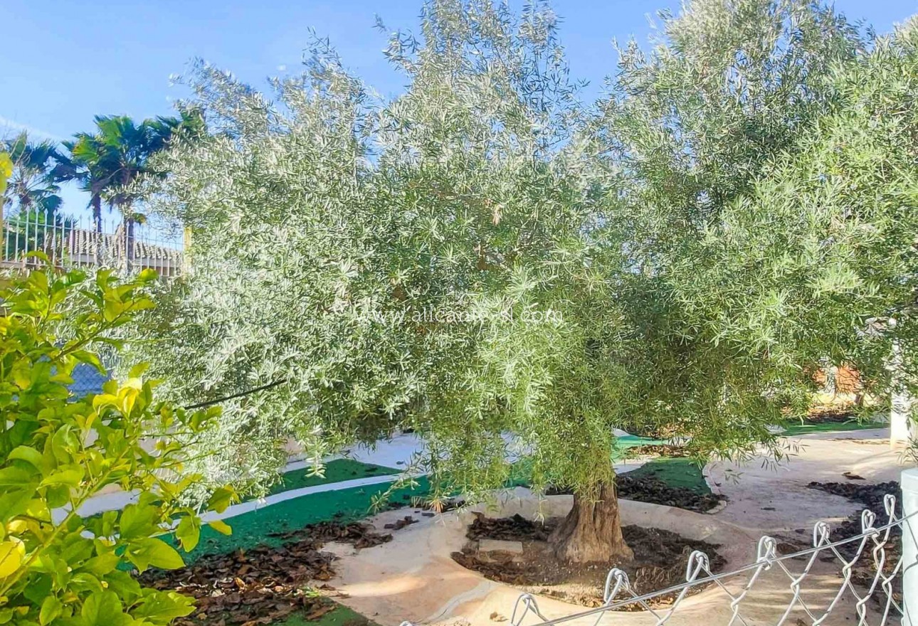 Sale - Villa  - Aspe