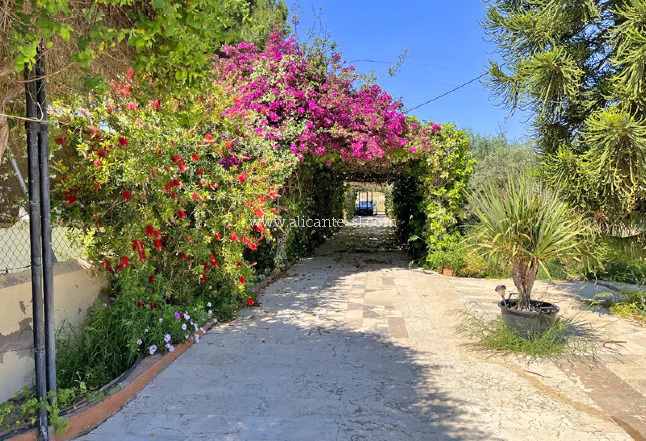 Sale - Villa  - Aspe