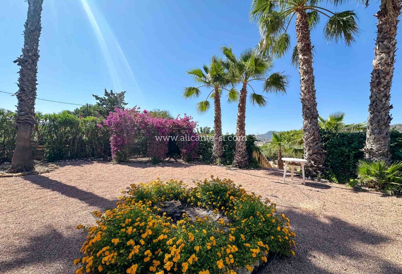 Sale - Villa  - Aspe