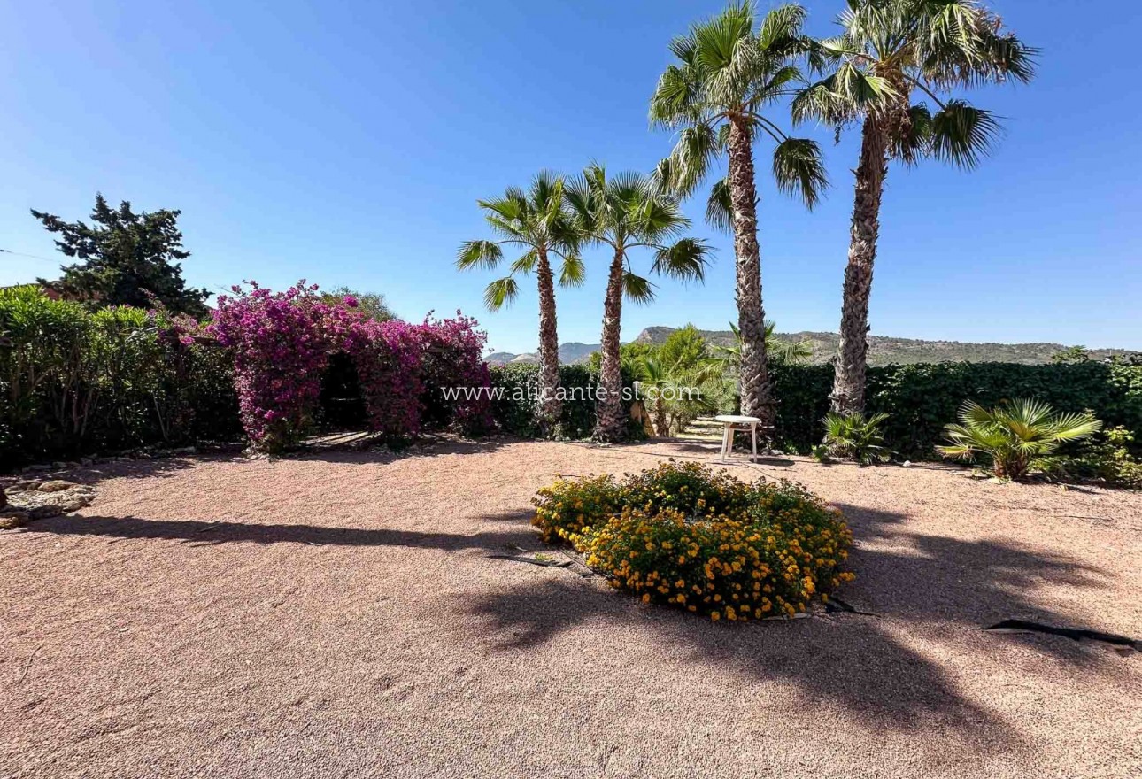 Sale - Villa  - Aspe