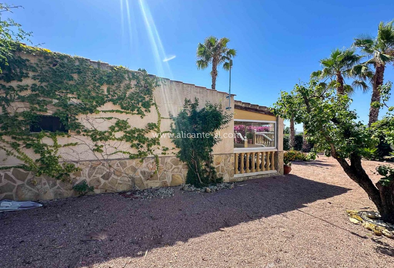 Sale - Villa  - Aspe