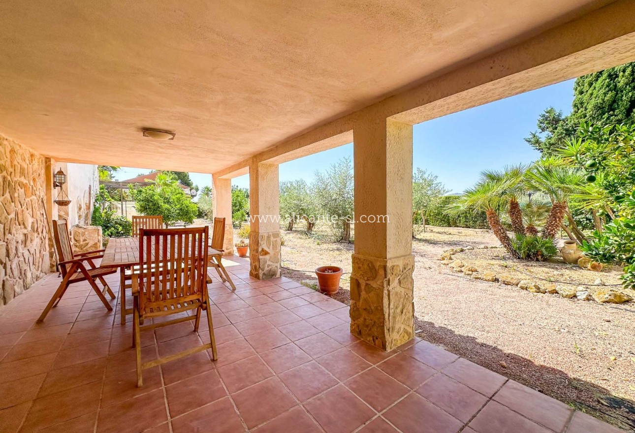 Sale - Villa  - Aspe