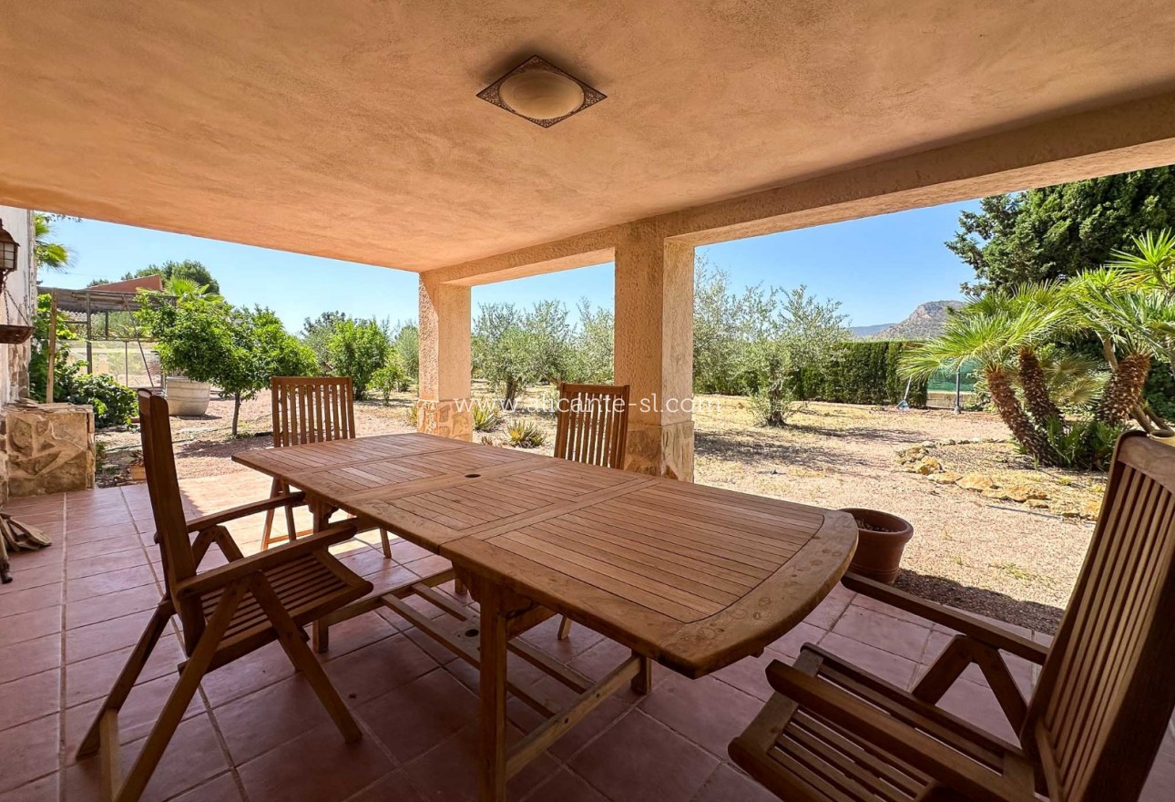 Sale - Villa  - Aspe