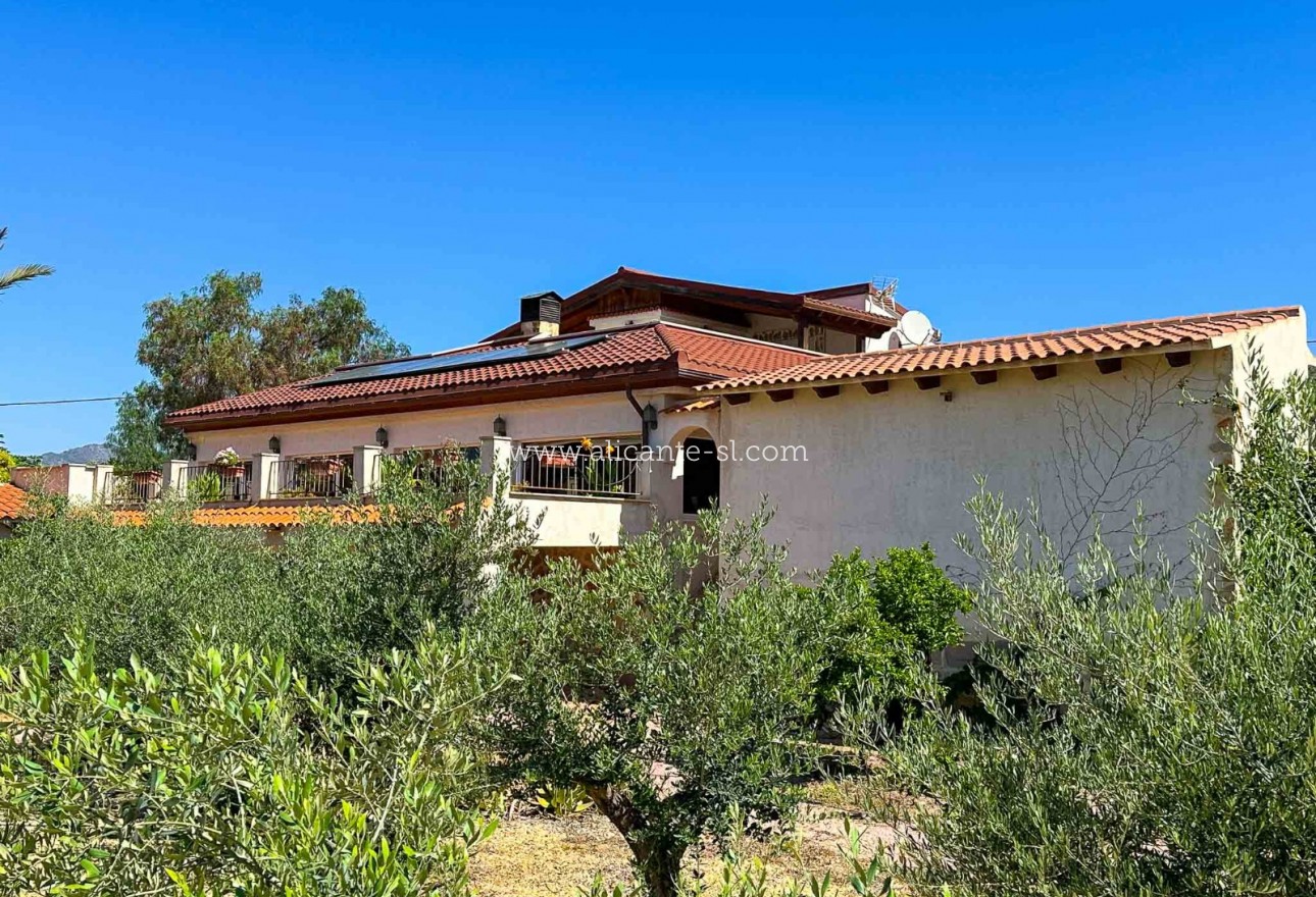 Sale - Villa  - Aspe