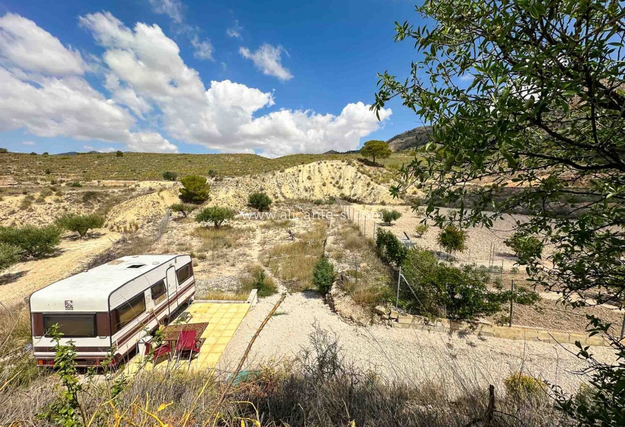 Sale - Villa  - Barinas