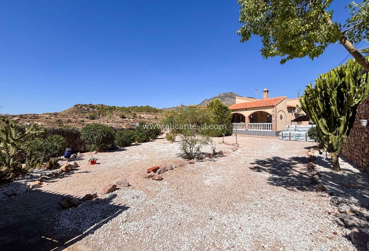 Sale - Villa  - Fortuna