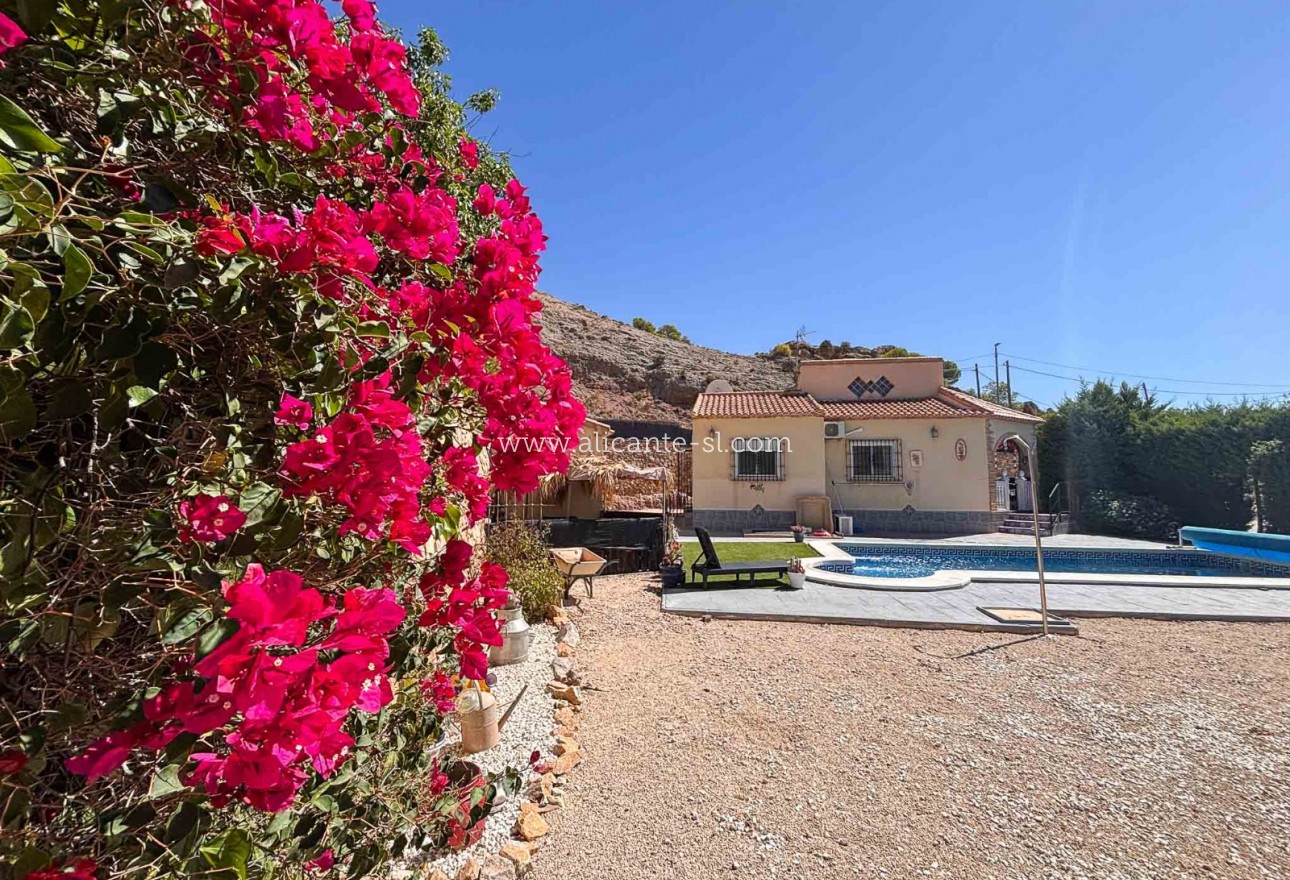 Sale - Villa  - Fortuna