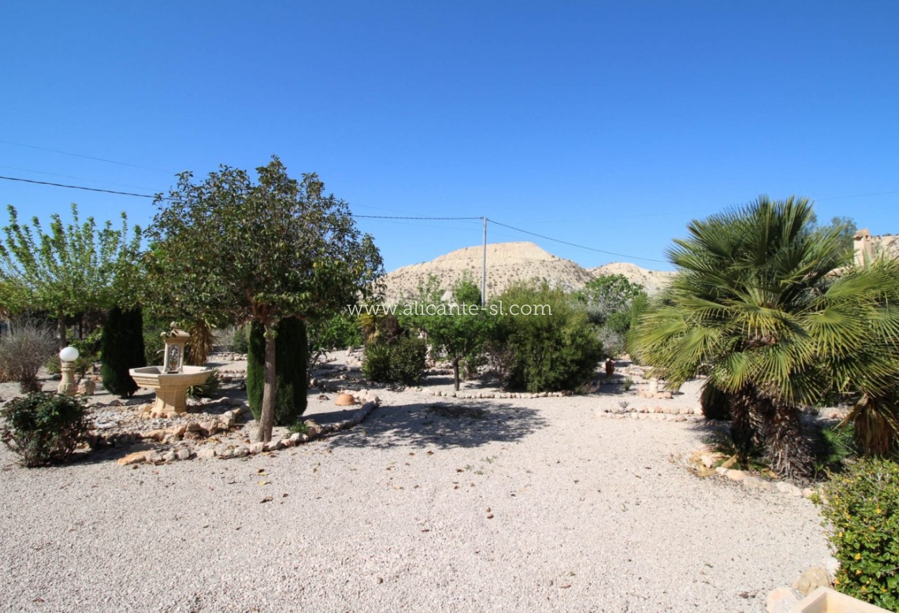 Sale - Villa  - Fortuna