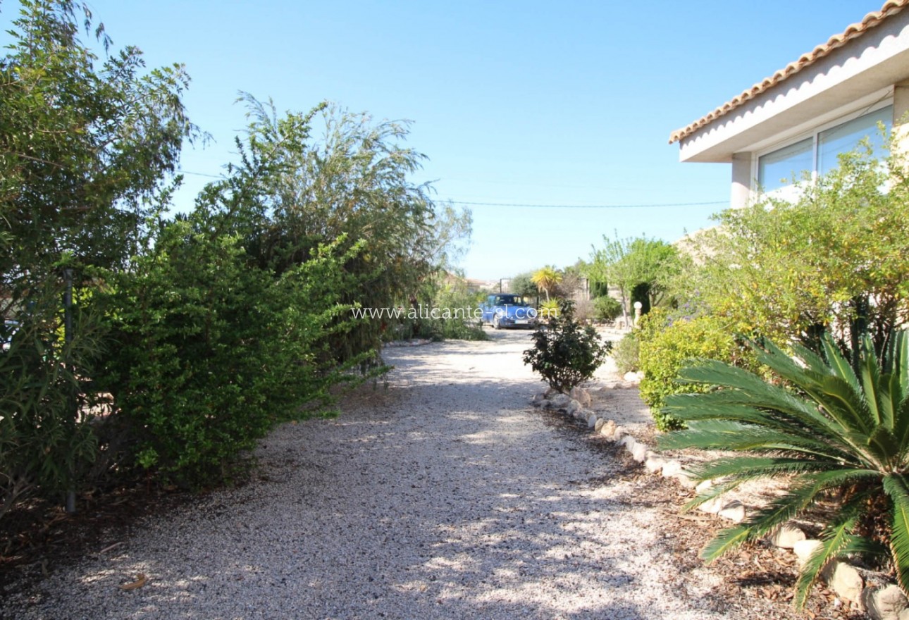 Sale - Villa  - Fortuna