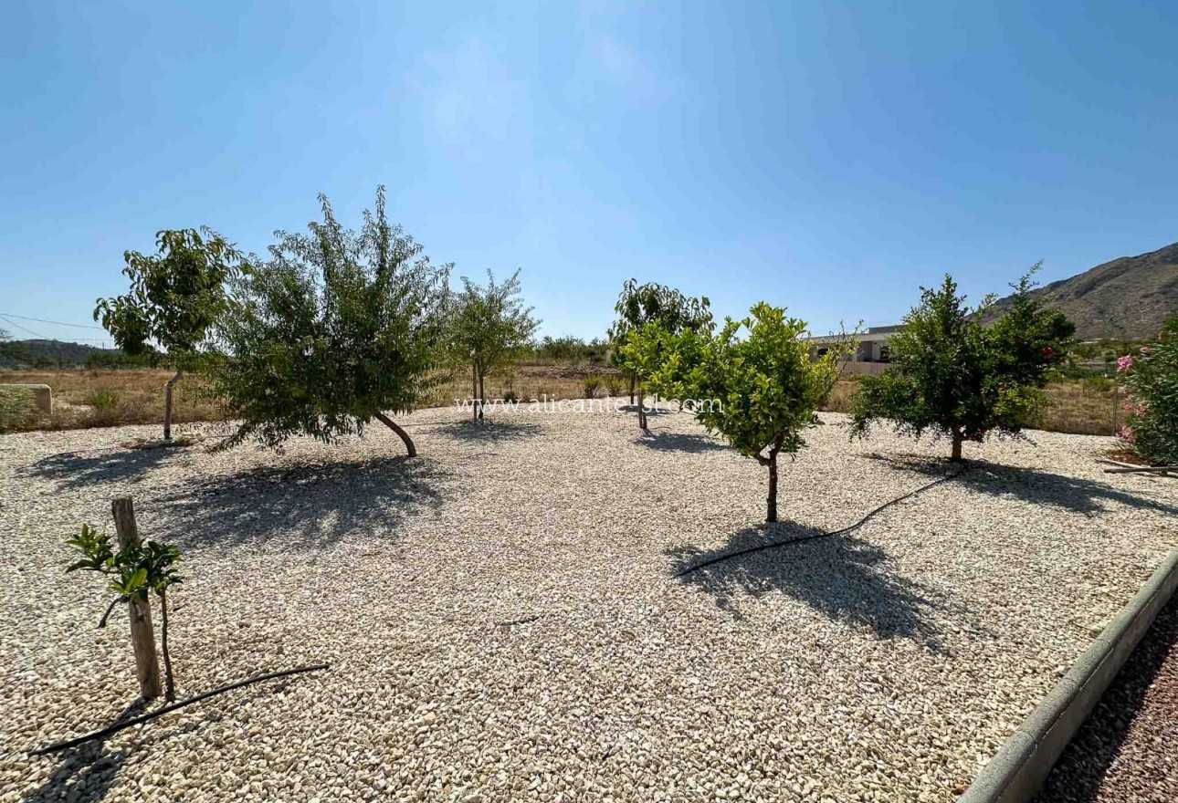 Sale - Villa  - Hondón de las Nieves