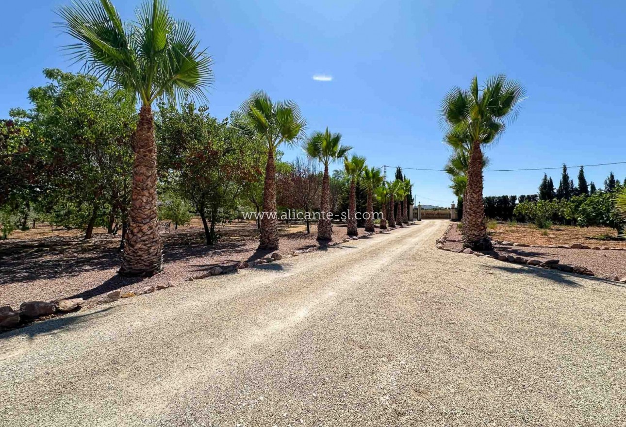 Sale - Villa  - Hondón de las Nieves